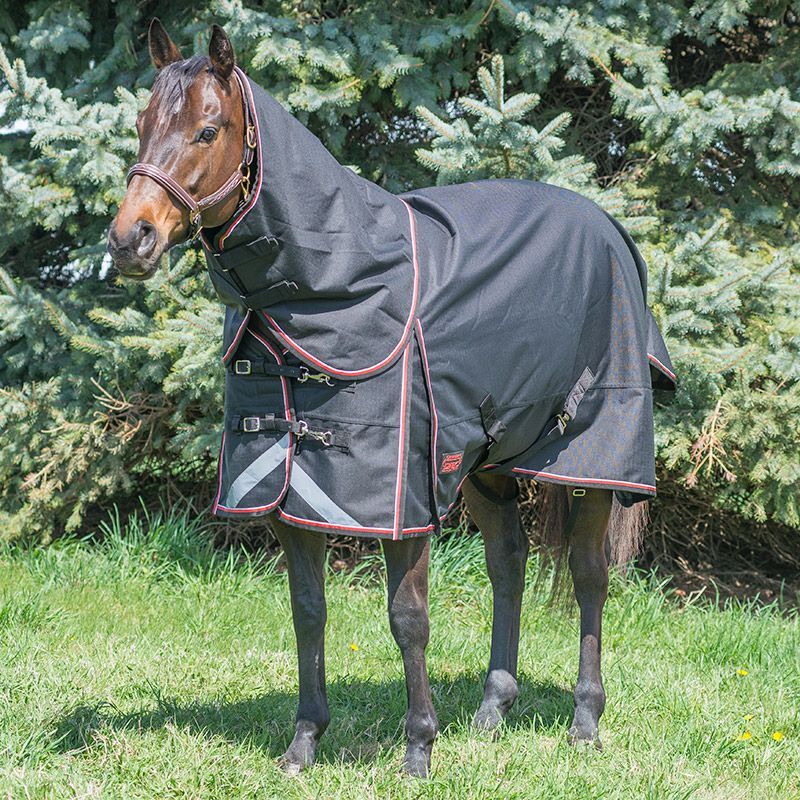 Canadian Horsewear 300gm Turnout - 78” Magnum Diablo