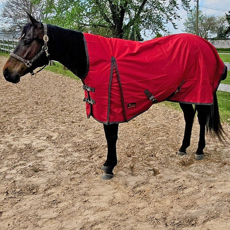 Canadian Horsewear 50gm Rainsheet - 75&quot; Mulberry