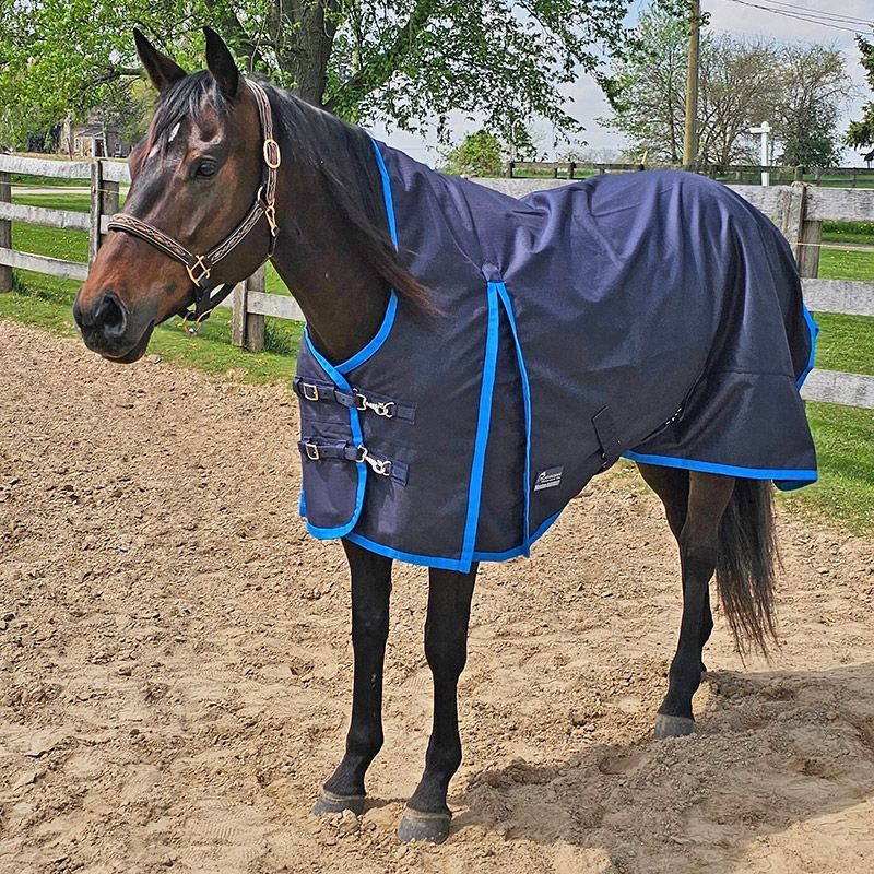Canadian Horsewear Rainsheet - 78&quot; Blue Horizon
