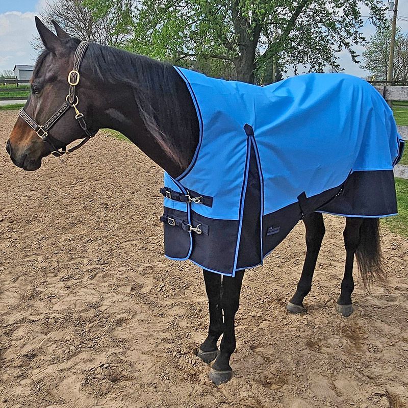 Canadian Horsewear 50gm Rainsheet - 78&quot; Ocean