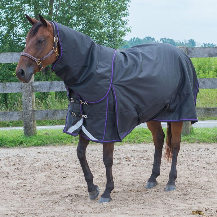 Canadian Horsewear 50gm Rainsheet - 75&quot; Prince Diablo