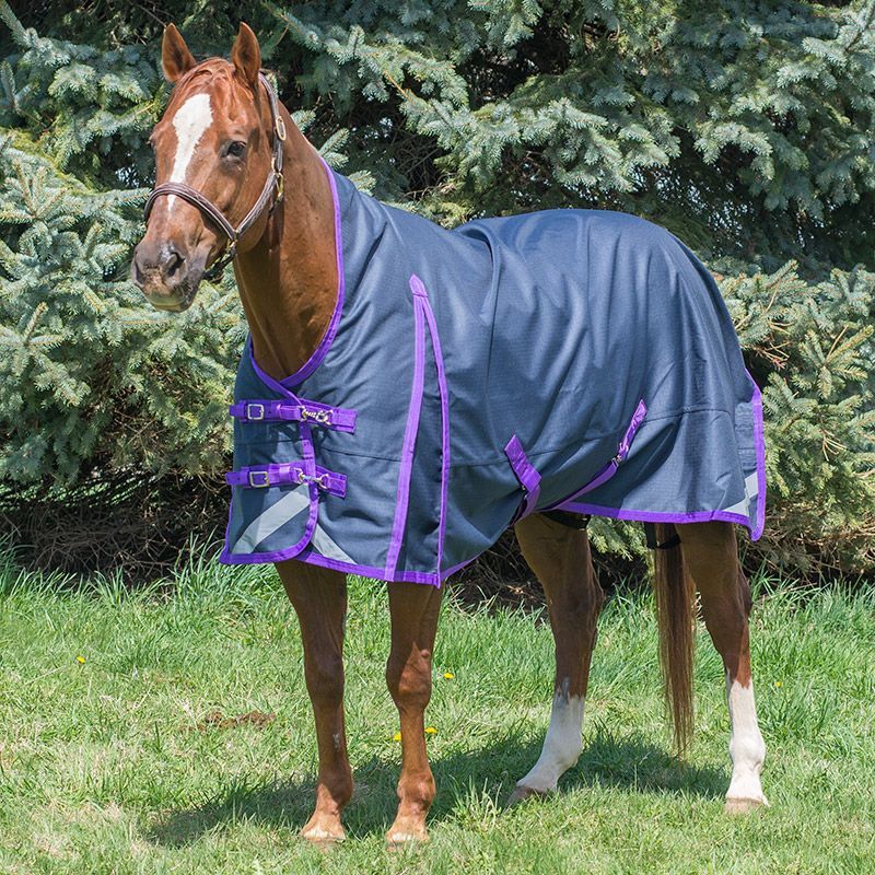 Canadian Horsewear Rainsheet - 81&quot; Regal