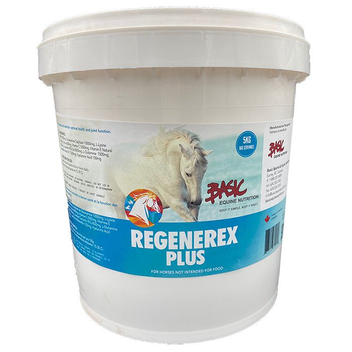 Basic Equine Regenerex Plus HA 5KG