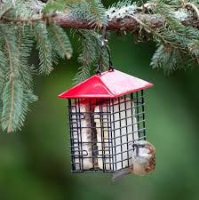 Double Suet Feeder w/ Weather Guard