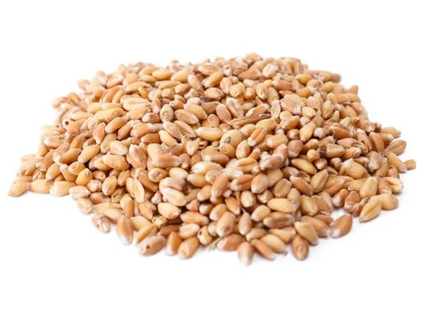 Otter Co-Op Whole Wheat 20KG