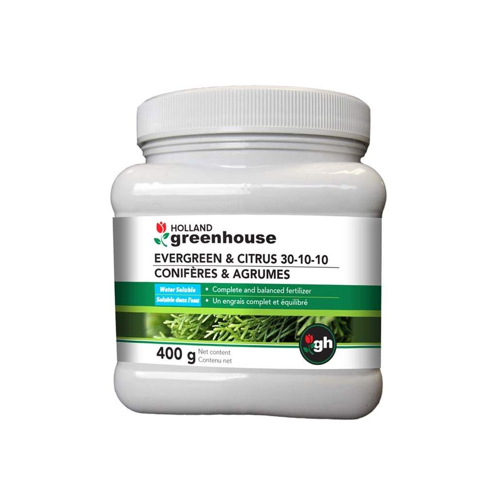 Evergreen &amp; Citrus Fertilizer 30-10-10 400GM^