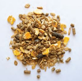 Beef Text 15% Sure Shot