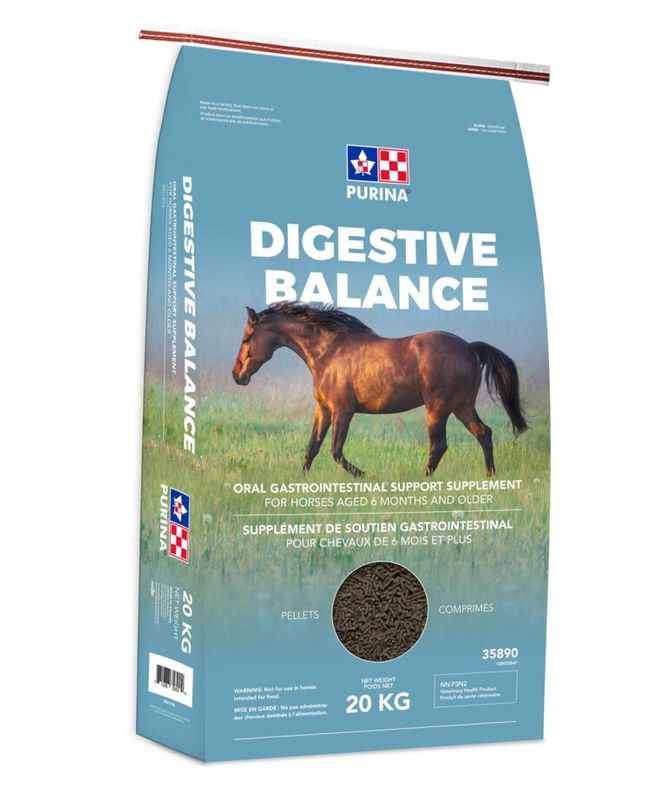 Purina Digestive Balance 20KG