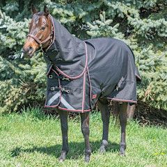 Canadian Horsewear 300gm Turnout - 81” Magnum Diablo