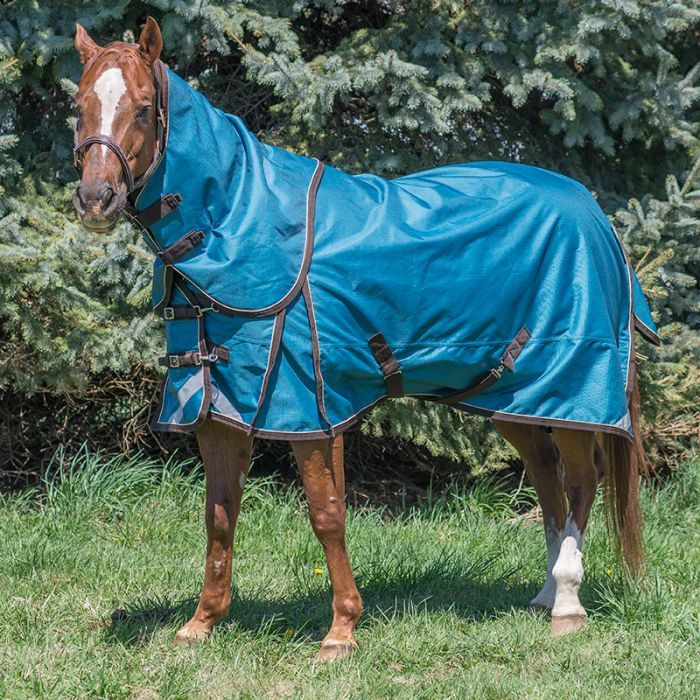 Canadian Horsewear 300gm Turnout - 72” Galapagos Diablo