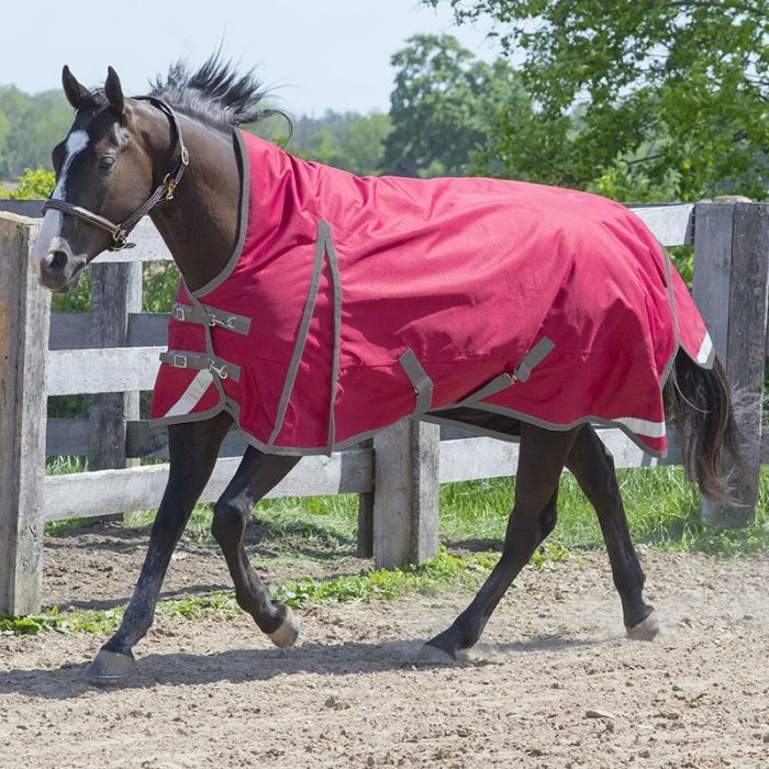 Canadian Horsewear 300gm Turnout - 78” Habanera