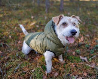 Jackets &amp; Winter Accessories