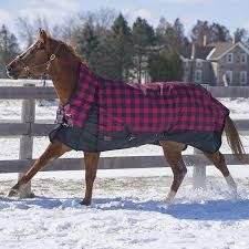 Horse Blankets