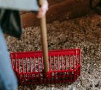 Forks,  Brooms &amp; Shovels