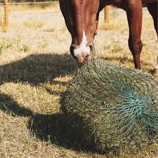 Hay Nets
