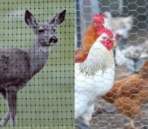 Deer &amp; Poultry Fencing
