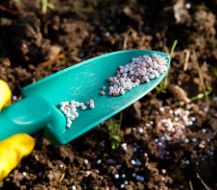 Soil &amp; Fertilizer