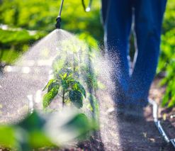 Fungicides, Herbicides &amp; Pesticides