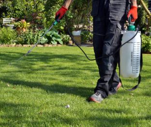 Sprayers &amp; Watering Cans