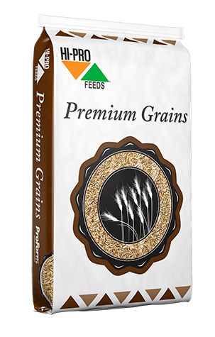 HiPro 50/50 Flatted Oats &amp; Barley w/ Molasses 20KG