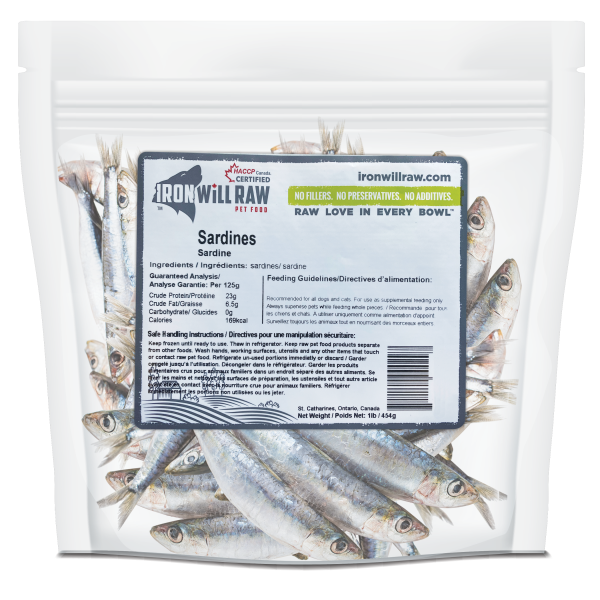 Iron Will Raw Frozen - Sardines [DOG] 1LB