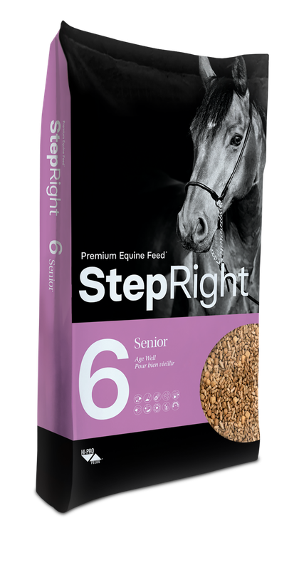 Step Right Step 6 Senior 20KG