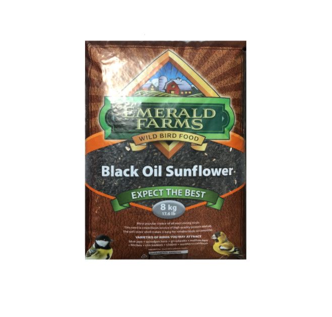 Black Oil Sunflower Seeds 8KG