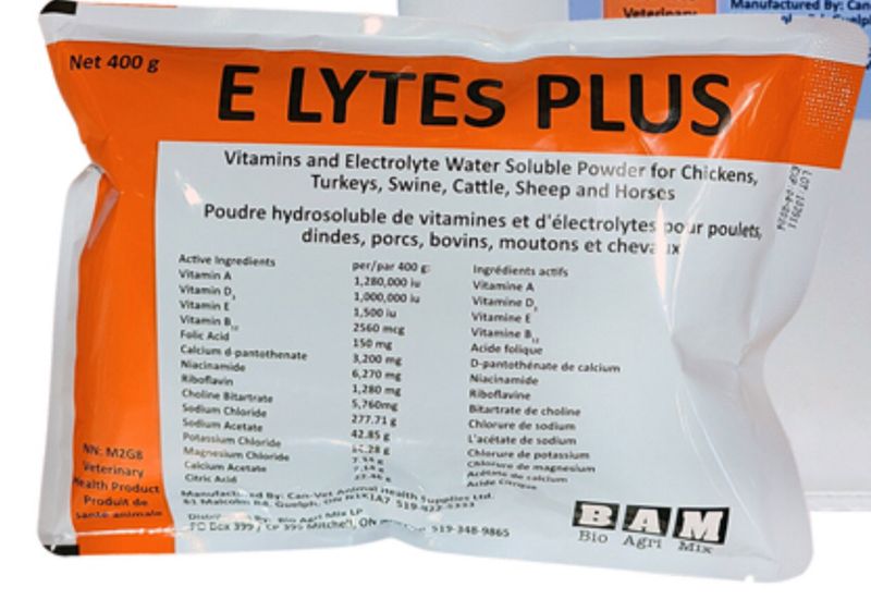 Electrolytes Plus 400G