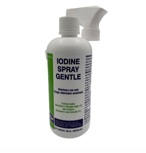 DVL Iodine 1% Spray 500mL