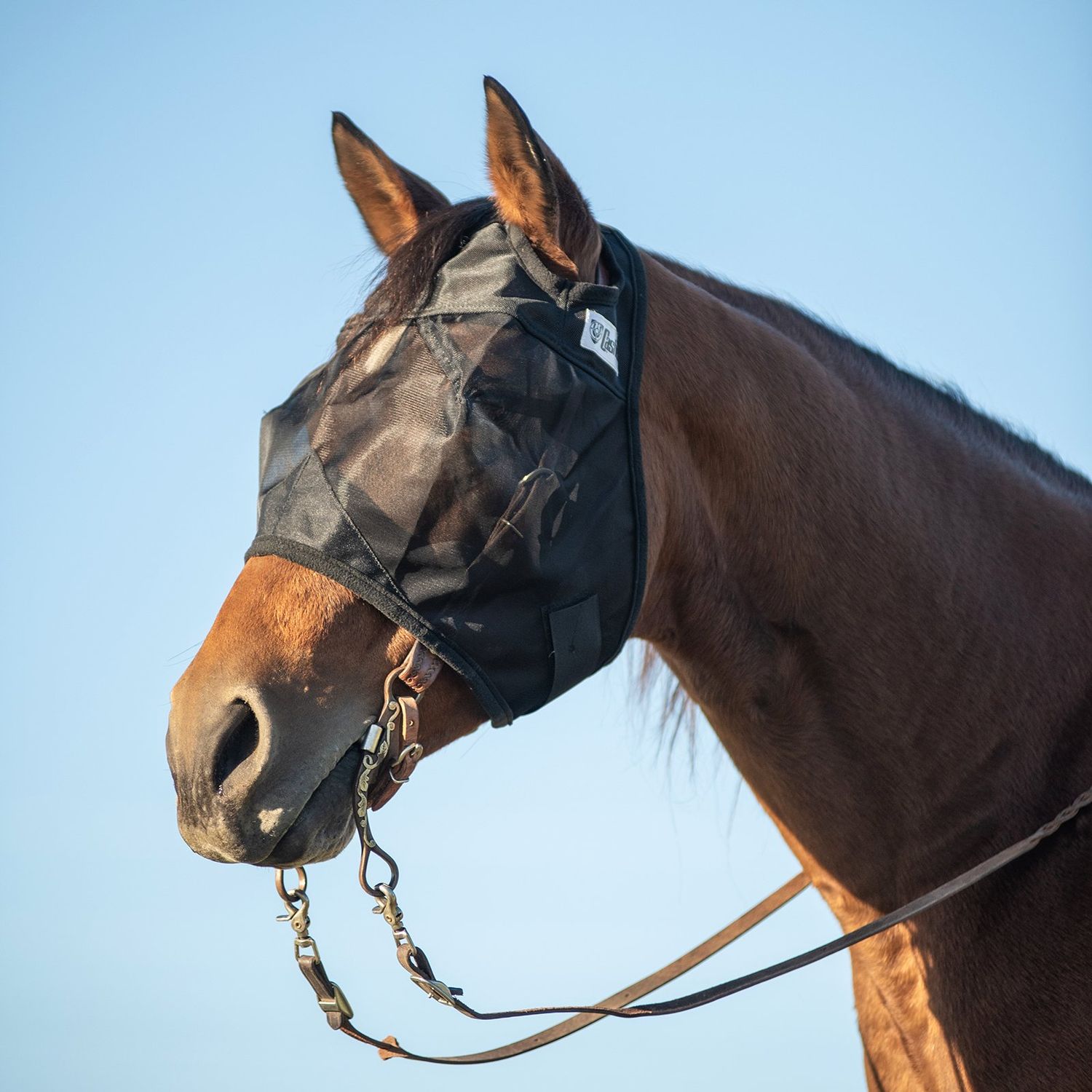 Cashel Quiet Ride Fly Mask Standard without Ears Horse