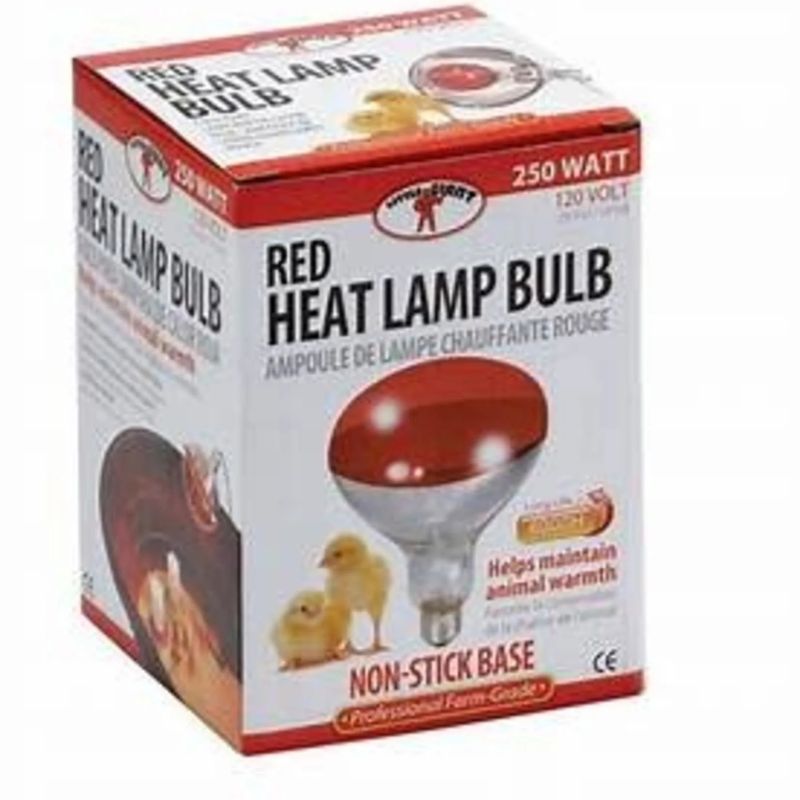 Miller Heat Lamp Bulb Red 250W
