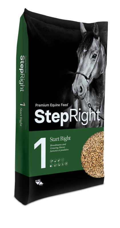 Step Right Step 1 Start Right 20KG