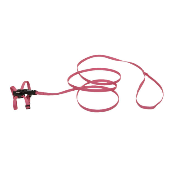 Li'l Pals Kitten Adjustable Harness 10" &amp; 6' Leash Combo Neon Pink