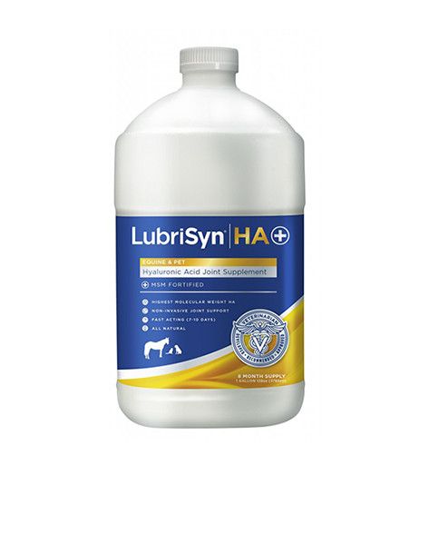 Lubrisyn w/ MSM 1 GAL