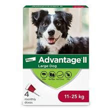 Advantage II  - 2 Dose [DOG] 11 - 25KG
