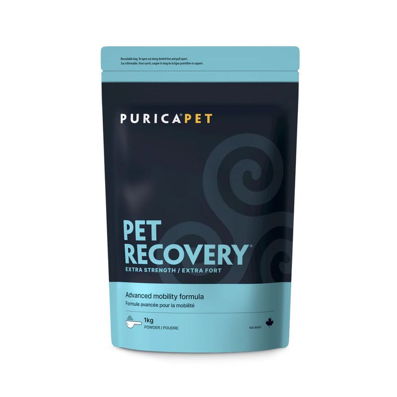 Recovery Extra-Strength 1KG Powder