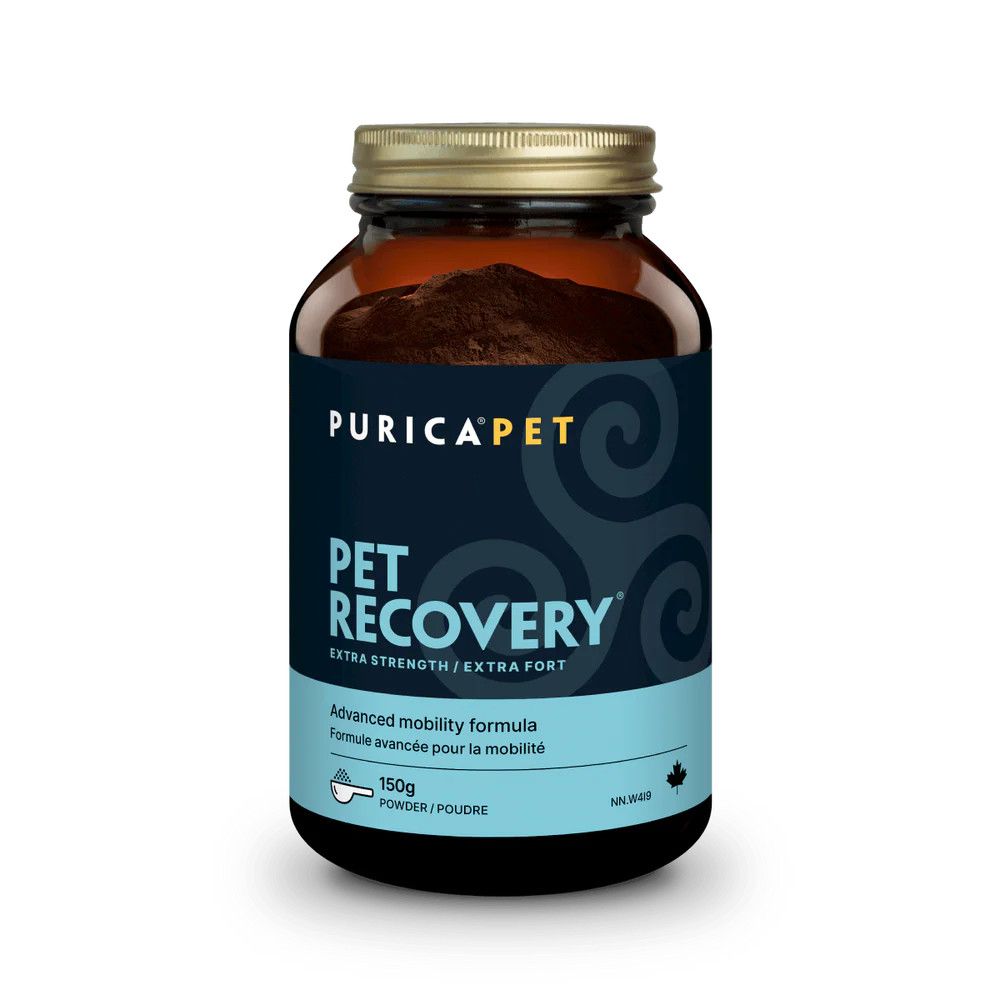 Recovery Extra-Strength 150G Powder