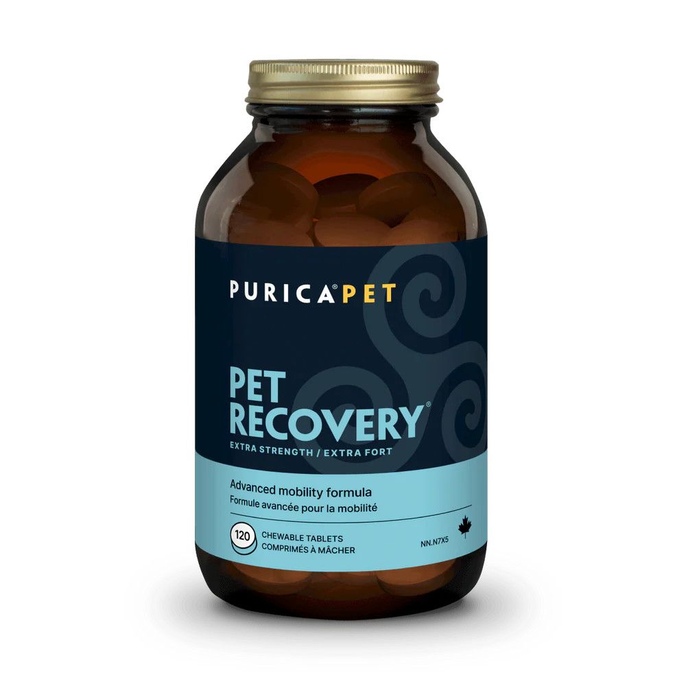 Recovery Extra-Strength 120 Tabs