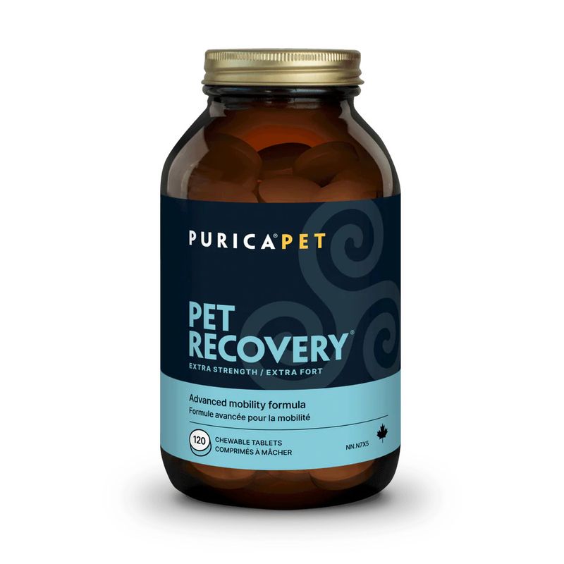 Recovery Extra-Strength 120 Tabs