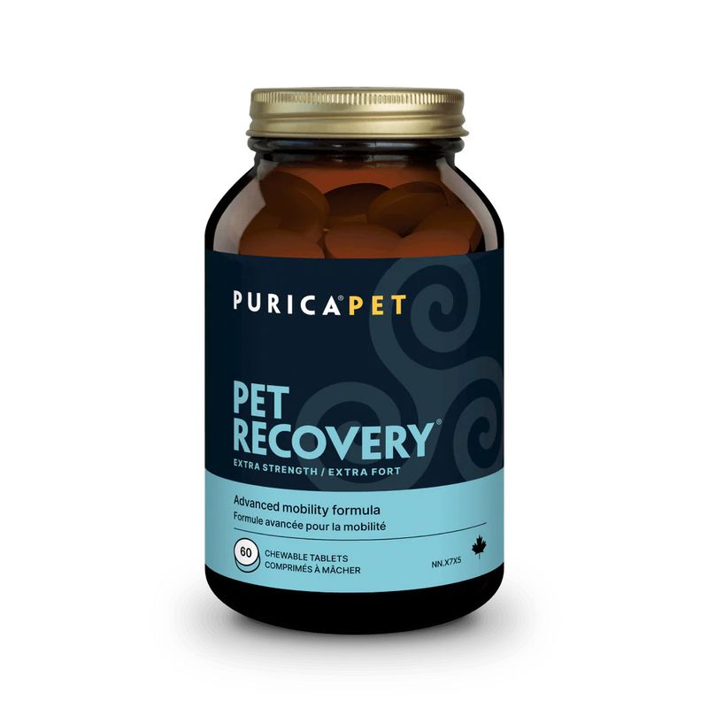 Recovery Extra-Strength 60 Tabs