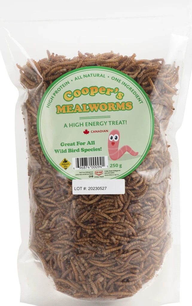 Cooper's Mealworms 250G