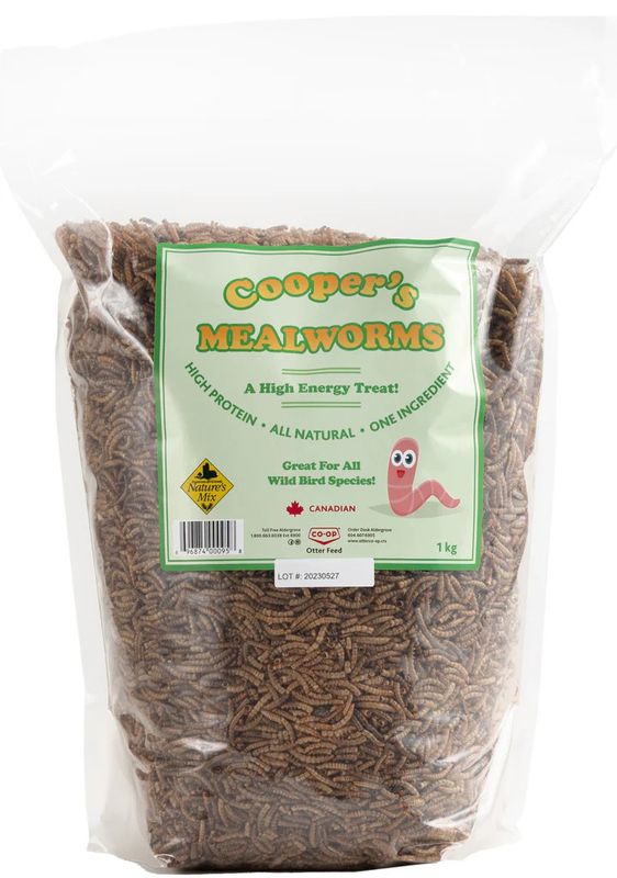 Cooper's Mealworms 1KG