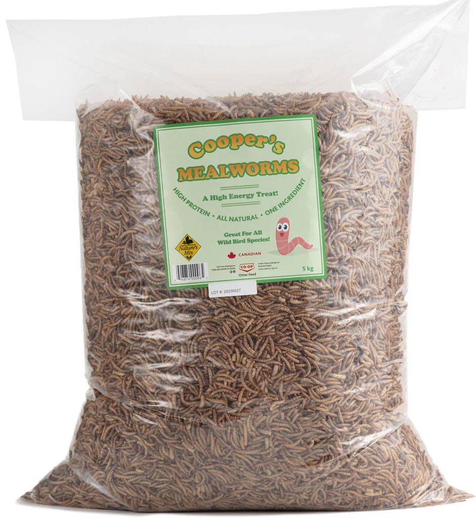 Cooper's Mealworms 5KG