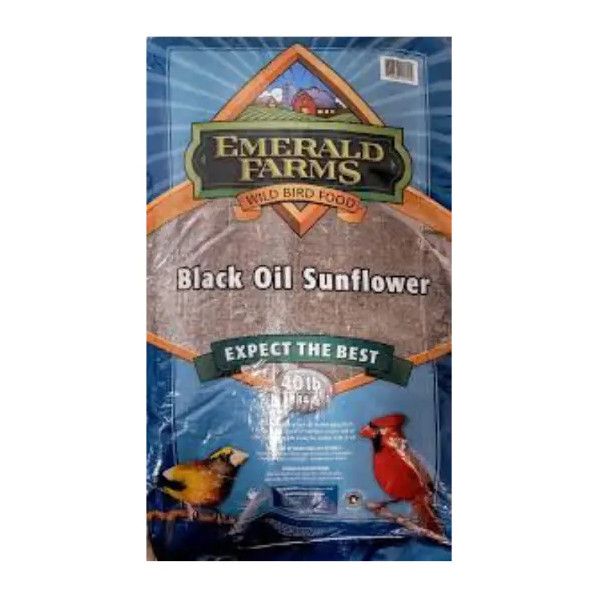 Black Oil Sunflower Seeds 18KG