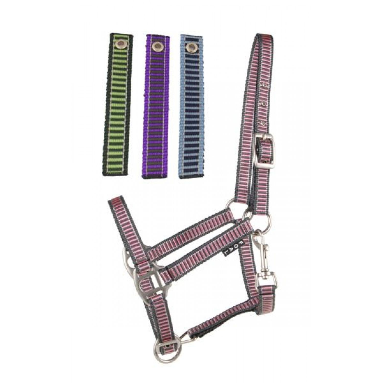 Cavalier Foal Halter Baby Blue/Navy/Silver