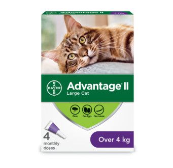 Advantage II - 4 Dose [CAT] 4KG +