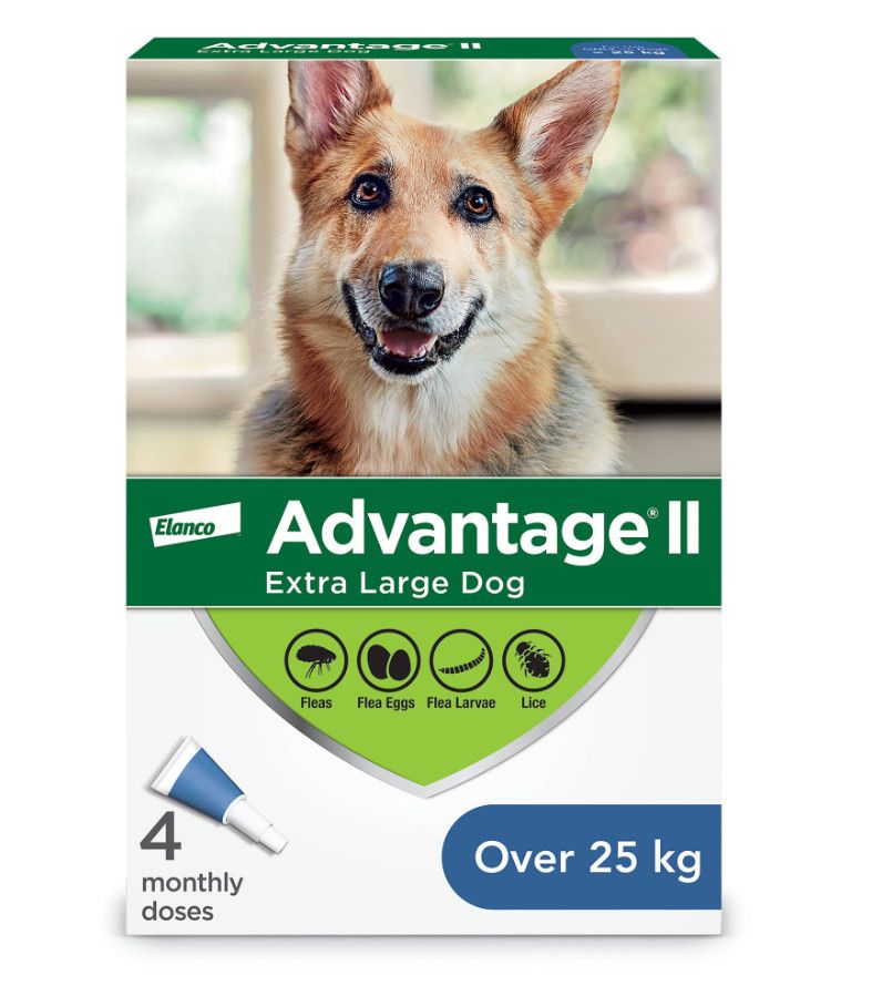 Advantage II  - 4 Dose [DOG] 25KG +