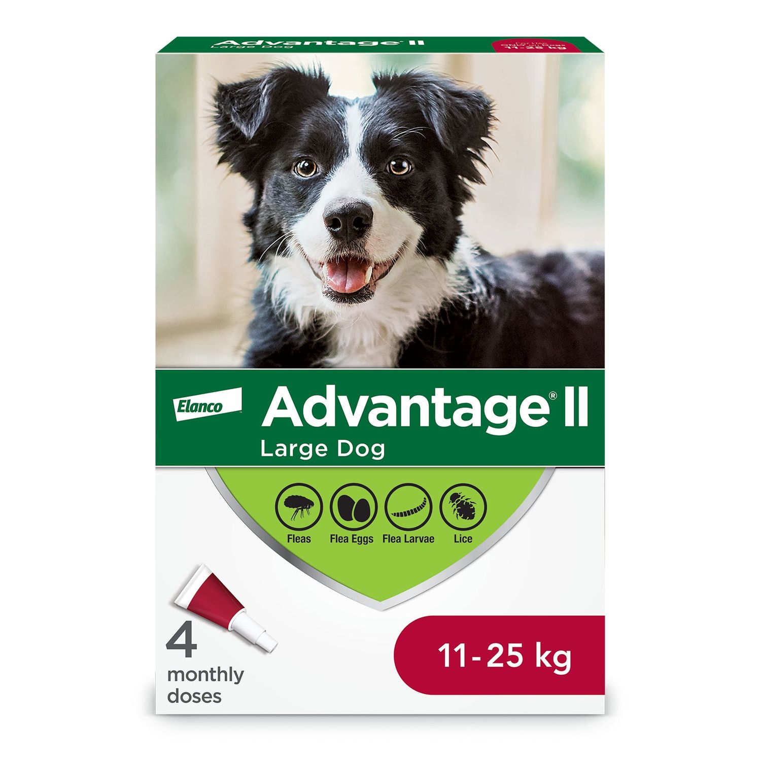 Advantage II  - 4 Dose [DOG] 11 - 25KG