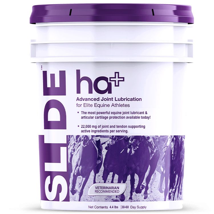 Slide HA+ 2kg 202798