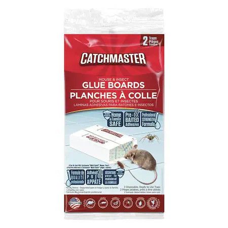 Glue Board  Mouse &amp; Insect 2PC